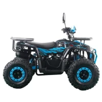 Квадроцикл Racer FreeLander PRO125 XTS (мотокомплект)