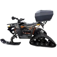 zimniy-komplekt-dlya-kvadrotsiklov-motoland-atv-200-lyiji-gusenitsyi
