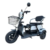 shtenli-trehkolesnyj-jelektroskuter-model-30-sla-akkumuljator-4sht-12ach12v