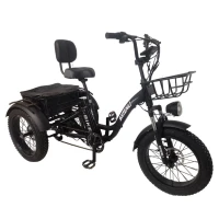 Электровелосипед трехколесный Shtenli Trike xMax 36V10.4A 