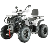 Квадроцикл AVM Adventure 250 ПСМ