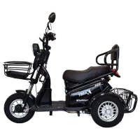 Электротрицикл Terax BIGGI