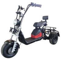 Электротрицикл Shtenli Model 104 mini