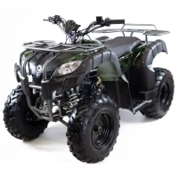 Квадроцикл MOTAX ATV Grizlik T200