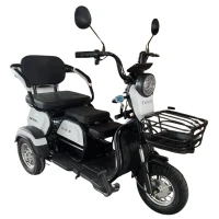 shtenli-jelektricheskij-tricikl-model-31-li-ion-20ah48v