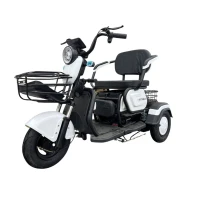 Электрический трицикл SHTENLI Model 31 li-ion 20Ah60V