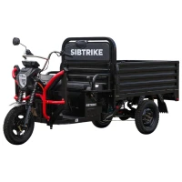 Электротрицикл WHITE SIBERIA SIBTRIKE CARGO 2025