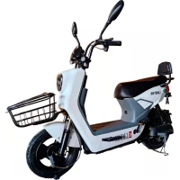 Электровелосипед Shtenli Model GT29 Li-ion 60V20Ah