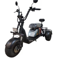 Электротрицикл CityCoco SMD S701 Minitrike New