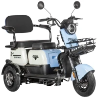 Электротрицикл Rutrike Gelbert Vega 48V/60V 600Вт