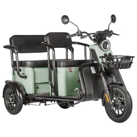 Электротрицикл Wanshida LC300 60V 1000Вт