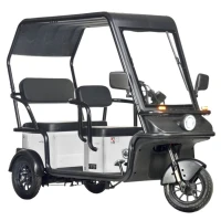 Электротрицикл Wanshida NIPLA 570 60V 1000Вт