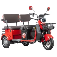 Электротрицикл Rutrike Gelbert Kappa 48V/60V 650Вт