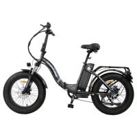 Электровелосипед HIPER KEMONO USAGI BF221 (R20FAT 500W 48V) складной, 7ско