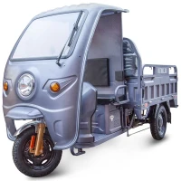 Грузовой электротрицикл Rutrike Глобус 1500 60V/1000W