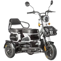 Электротрицикл Wanshida HOT HATCH 60V 650Вт