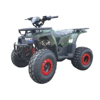 wels-atv-thunder-e2