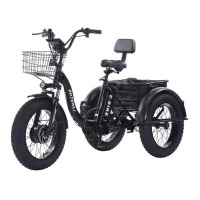 Электровелосипед трехколесный Shtenli Trike PRO 48V 10.4Ah