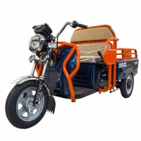 Грузовой электрический трицикл Smart8 Bizon