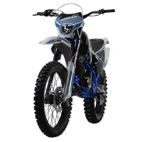 Мотоцикл эндуро PROGASI Palma 250 SE