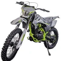 Мотоцикл эндуро PROGASI PALMA 250 NG без ПТС