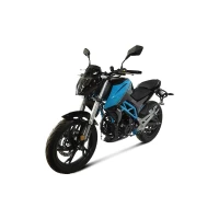 tmbk-mototsikl-dukes-250-pro