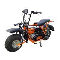 Мотоцикл Ижтехмаш СПРИНТ на редукторе, колеса 8” (20х7-8’’), LIFAN KP230ER, фара, электростартер