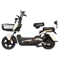 Электроcкутер SHTENLI Model GT21 60V20Ah