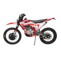 Мотоцикл Кросс Moto Apollo M3 300 (175FMM) 2026