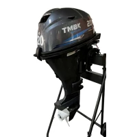 Четырёхтактный лодочный мотор TMBK Marine Pro 4T F20BWS