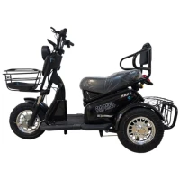 Электротрицикл SMD Mini PLUS