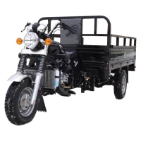 agiax-tricikl-gruzovoj-250cc-woda