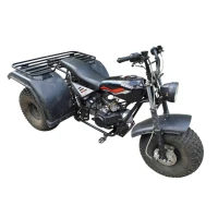 izh-tricikl-triton-5