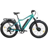 Электровелосипед Eltreco BigCat Dual Next