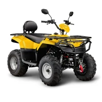 Квадроцикл Irbis ATV200 LUX ПТС