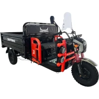 Грузовой электротрицикл WHITE SIBERIA SIBTRIKE CARGO 1.8