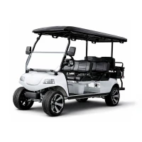 Гольфкар Rutrike Carrier 6