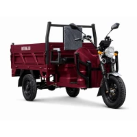  Грузовой электрический трицикл Rutrike D5 1500 гидравлика (72V1500W)