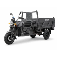  Грузовой электрический трицикл Rutrike D5 1500 гидравлика (72V1500W)