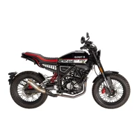 Мотоцикл дорожный Avantis City New 250 ПТС