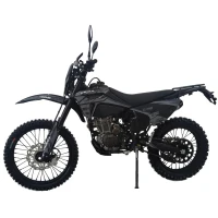 Мотоцикл Regulmoto ZZ PR 300 6 передач с ПТС