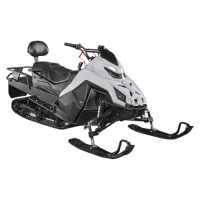 Снегоход туристический IRBIS SF300 PRO EFI