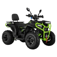 Квадрицикл Avantis Hammer 280L Pro ПТС