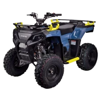 Квадроцикл Avantis Ray 200 Basic (мотокомплект)