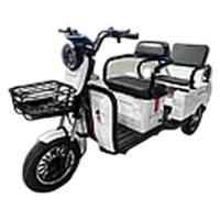 Электрический трицикл SHTENLI Model А034 (2в1) SLA 20Ач60В