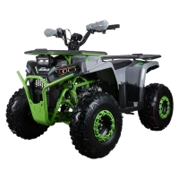 Квадроцикл Avantis AURA 125 Lux (мотокомплект)