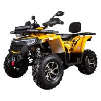 Квадроцикл Avantis H250 BIG NEW Premium (баланс. вал) (мотокомплект)
