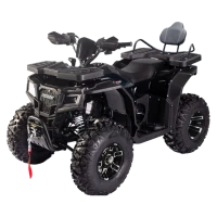 Квадроцикл Progasi RaceJumper 250 Long (мотокомплект)