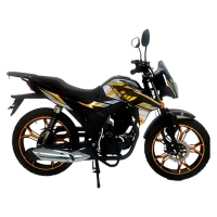 Мотоцикл ROLIZ Major ZS163FML 200
