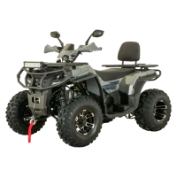 Квадроцикл YACOTA VIKING LONG 250 PRO ПТС